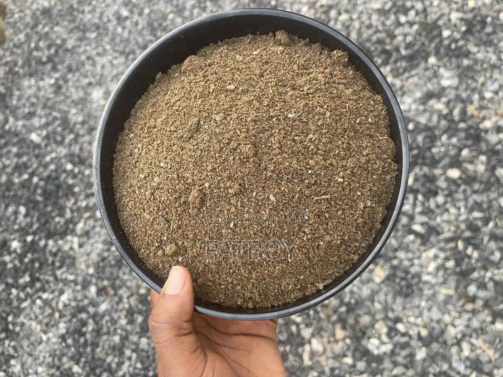 Fish Meal 100% for Dogs