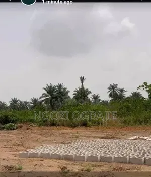 500sqm Dry Land With C Of O – Villa Samara Estate, Aba