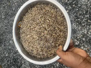 Clean Dog Rice