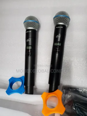 Professional Wireless Microphone