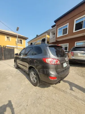 Hyundai Santa Fe Limited 2010 Brown