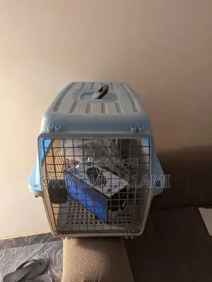 Pet Carriage