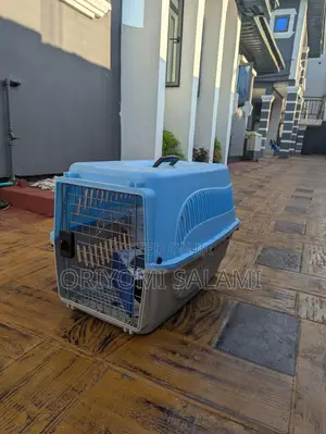 Pet Carriage