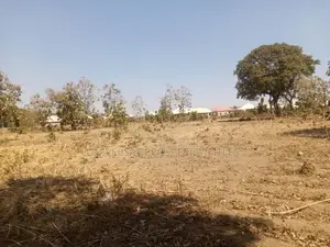 3 Hectares Farmland For Sale In Gataku, Nasarawa State