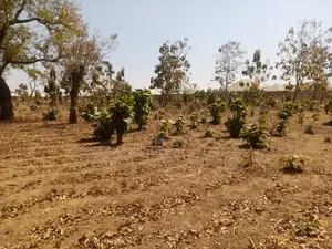3 Hectares Farmland For Sale In Gataku, Nasarawa State