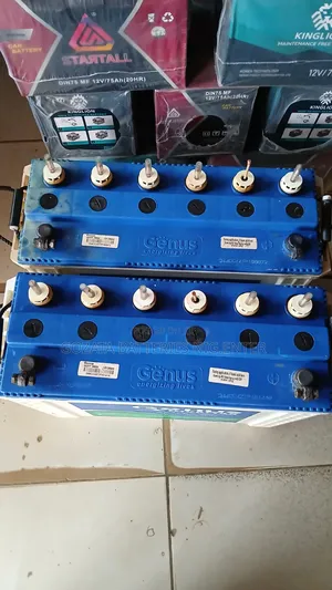 Genus Tubular Solar Battery Fairly Used
