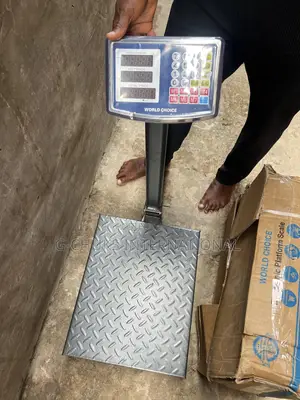 Camry(World Choice) 300kg Digital Double Display Scale