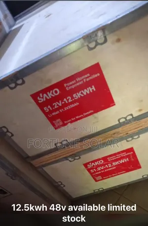 Sako 12.5kwh Lithium Battery Digital Display