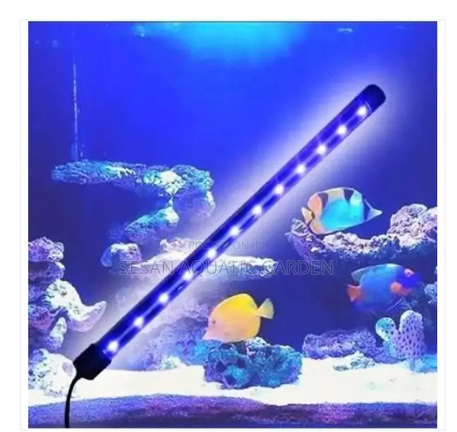 Aquarium Light