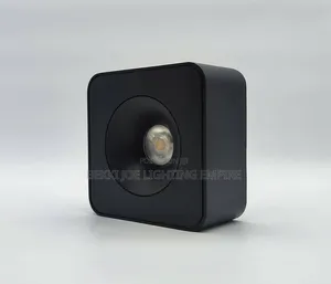 Surface Mounted Light