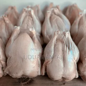 Fresh Broiler Chicken For Sale