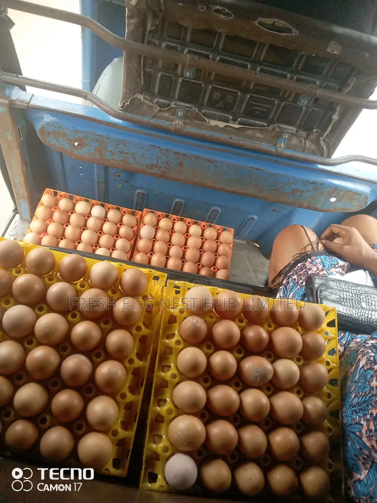 Fresh Egg Nest Hub