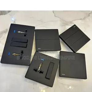 Fine Black Switch and Socket