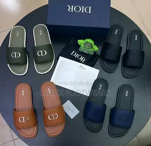 Dior Quality Slides