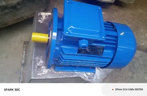 Electric Motor Flange Type