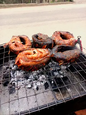 Well Grilled Catfish With Chips and Source