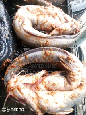 Well Grilled Catfish With Chips and Source