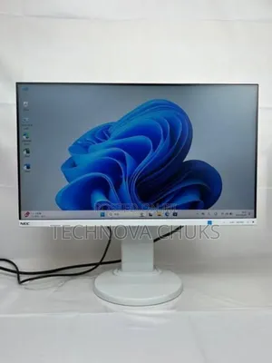 Eizo Flexscan Ev2450 Frameless Ips Monitor FHD
