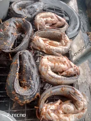 Well Grilled Catfish With Chips and Source
