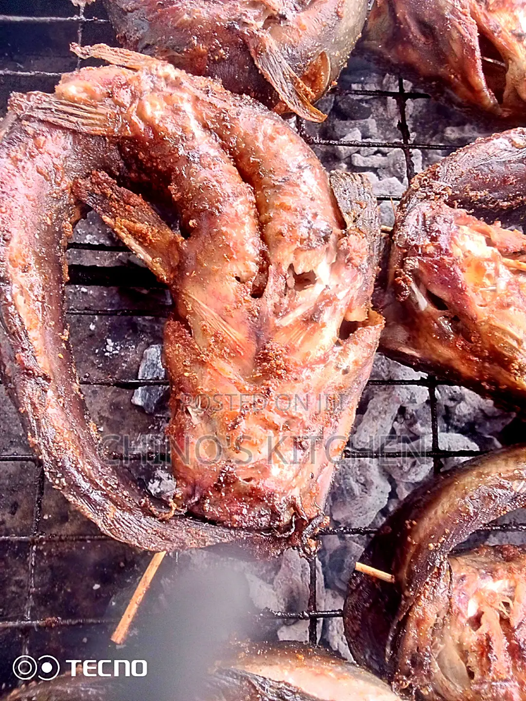 Well Grilled Catfish With Chips and Source