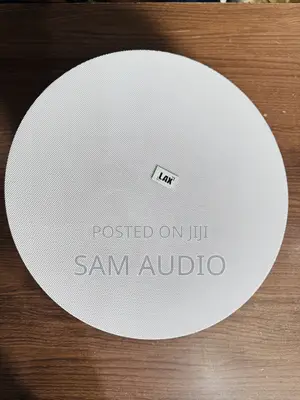 100watts Ceiling Speakers