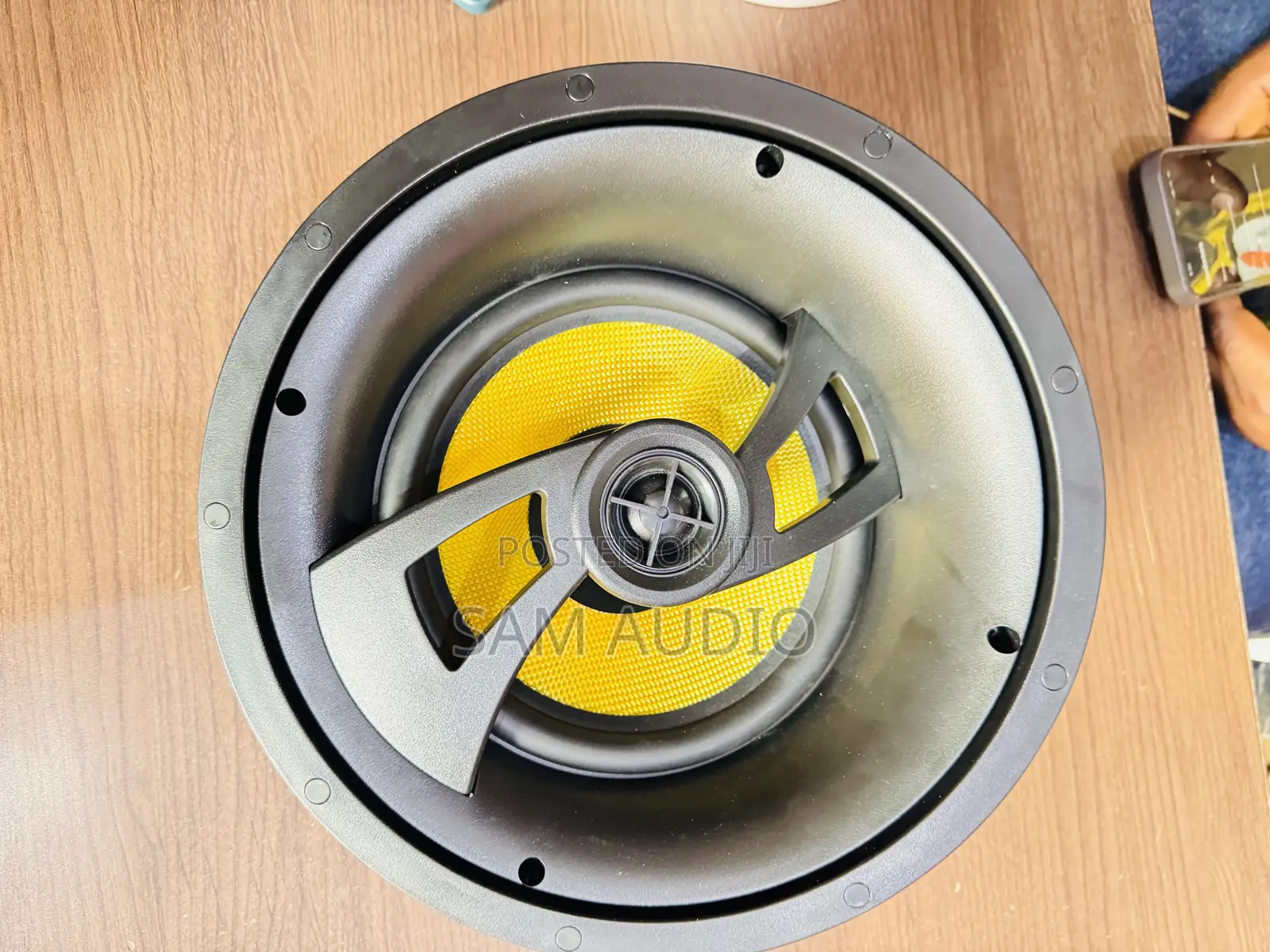 100watts Ceiling Speakers