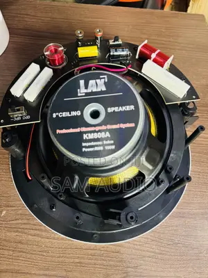 100watts Ceiling Speakers