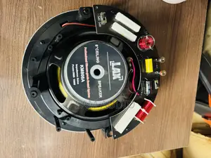 100watts Ceiling Speakers