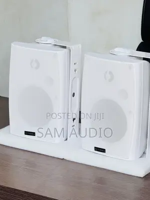 Tundra Outdoor and Indoor Speaker