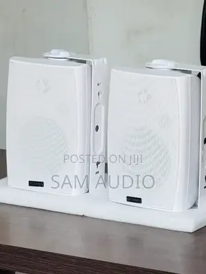 Tundra Outdoor and Indoor Speaker