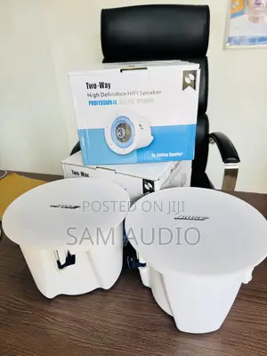 Bose Ceiling Speaker