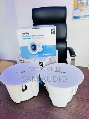 Original Bose Ceiling Speaker