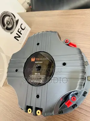 TDG Audio Ceiling Speaker