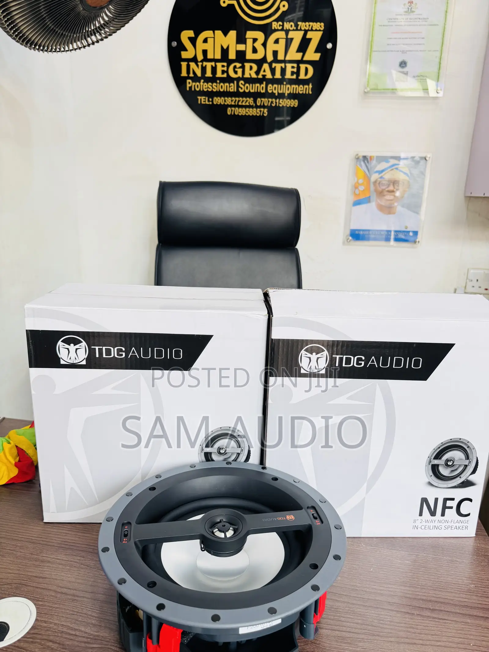 TDG Audio Ceiling Speaker
