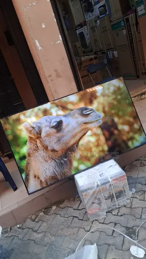 Samsung 65 Inches Qled