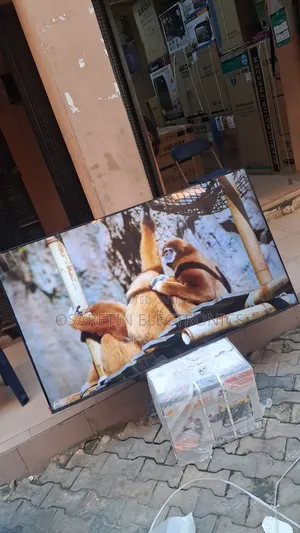 Samsung 65 Inches Qled