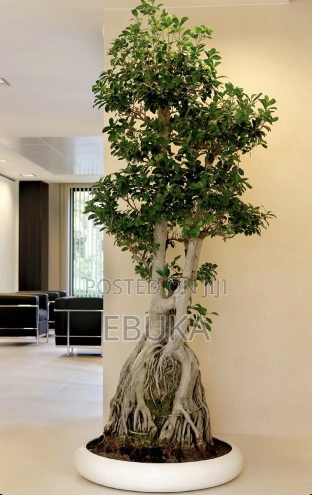 Flat Bottom Fiberglass Pot