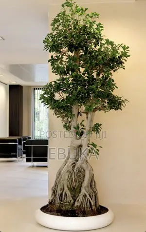 Flat Bottom Fiberglass Pot