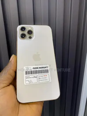 Apple iPhone 12 Pro 256 GB Gray