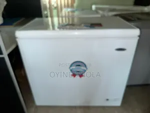 Haier Thermocool Inverter Chest Freezer
