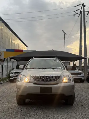 Lexus RX 350 2007 Gray
