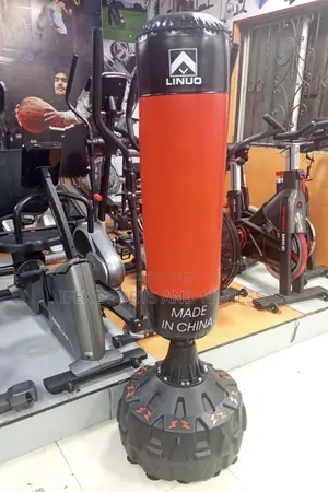 Standing Punching Bag