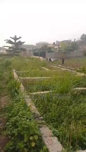 Good Half Plot of Land for Sale in Alagbole