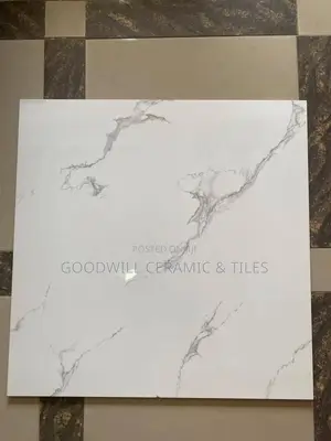 Elaine White Glossy Porcelain 60x60cm