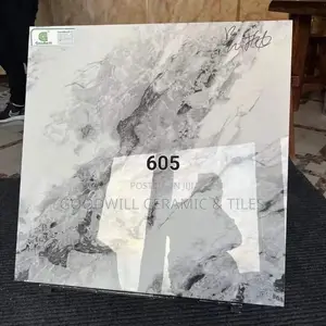 Elegance White Glossy Porcelain 60x60cm