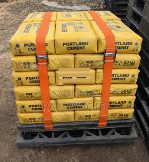 Ogbonge Plastic Pallets Built for Naija Businesses