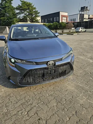 Toyota Corolla LE 2020 Gray