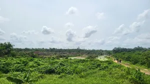Premium Lands for Sale at Imota Ikorodu