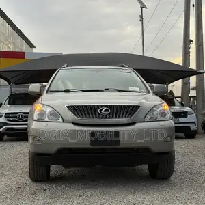 Lexus RX 2006 Gray