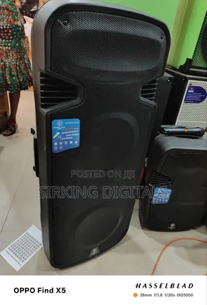 1800 Watts Standard Japan Double Pa System With 2 Wireless Mic